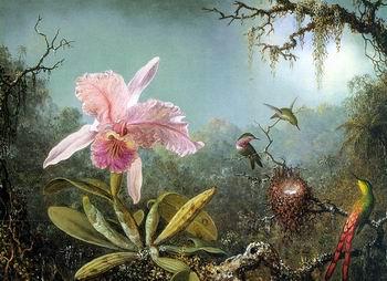 unknow artist Floral, beautiful classical still life of flowers.123
